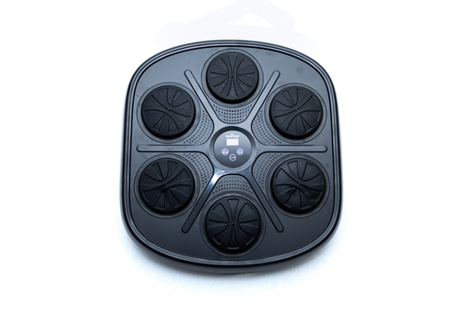PrimePoint Elite Music Boxing Machine